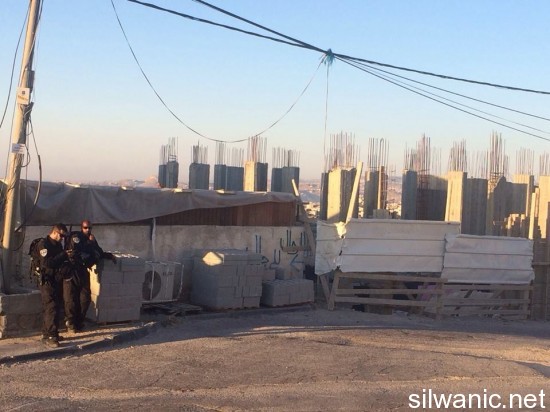 11692827_10152878431252466_217548254_n