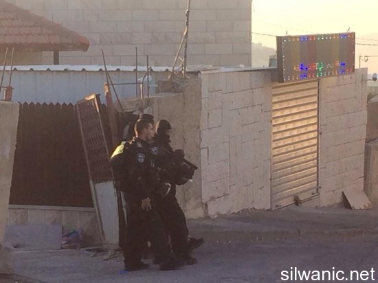 11693007_10152878431327466_1976799059_n - Copy