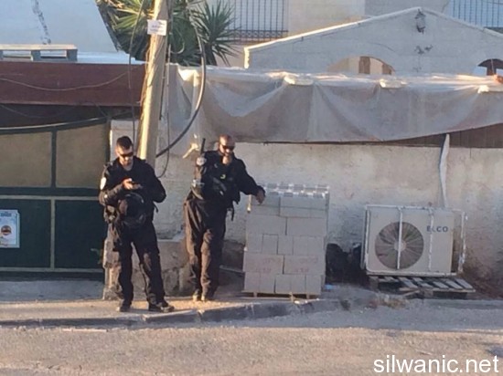 11693065_10152878431127466_581497493_n