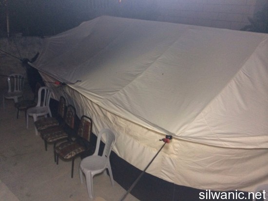 11693174_10152892795572466_1659226040_n