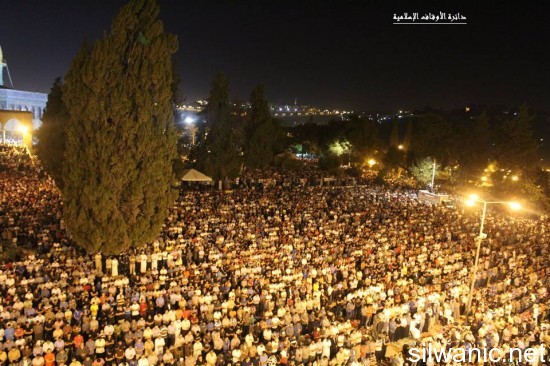 11693958_804722032975230_3501236743581777317_n