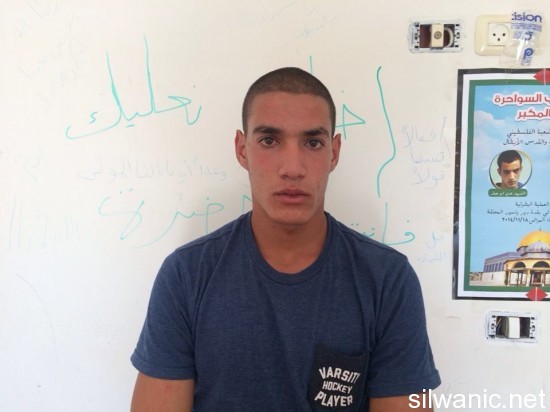 11694043_10152879740277466_1850915059_n