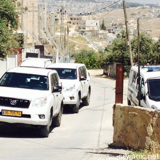 11694347_10152892501432466_924952332_n