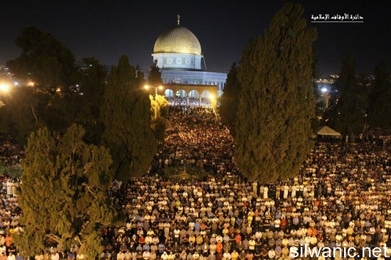 11698492_804722016308565_3088410670702257068_n