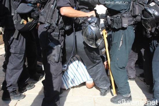 11698678_810780875702679_4011586978563704178_n