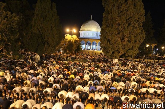 11705096_802856566495110_1691742527346944325_n