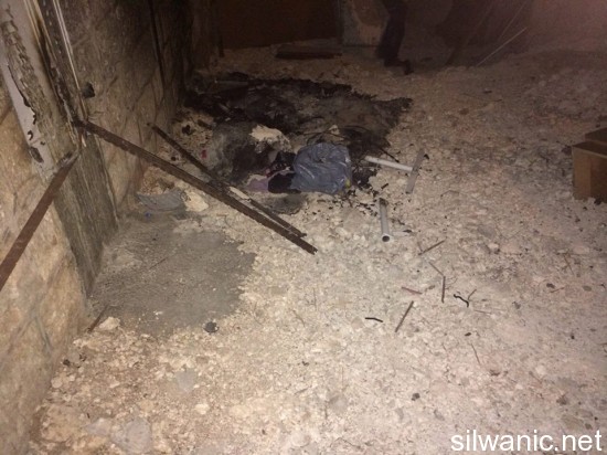 11714322_10152892795807466_1205551422_n