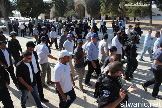 11742682_810781962369237_3007718290366346047_n