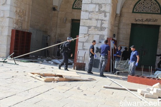 11751724_810785572368876_108366857947402233_n