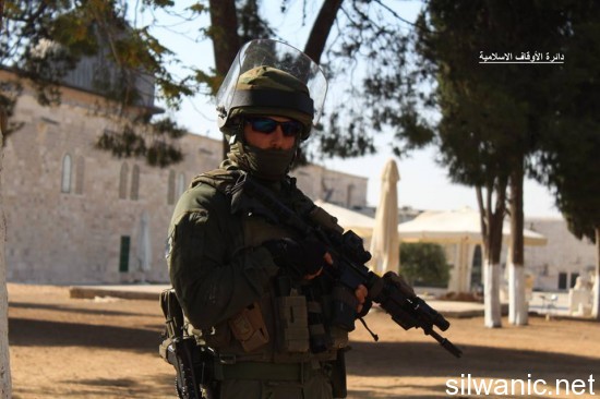 11751820_810785319035568_2779912176282969242_n