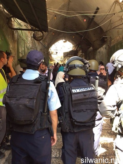 11774423_10152925238867466_1810319899_n