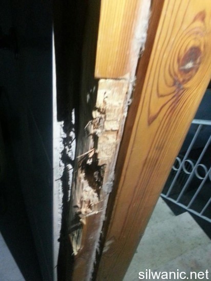 11774713_10152922891787466_1414157268_n