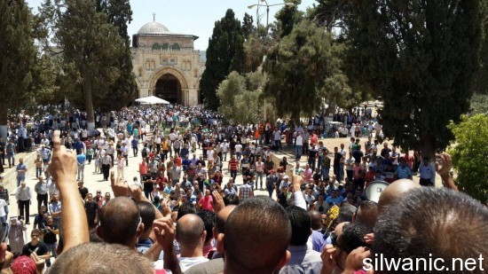 11777561_10152922902587466_1718417316_o