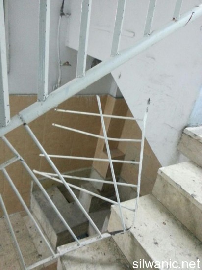 11778026_10152922891972466_1024827969_n