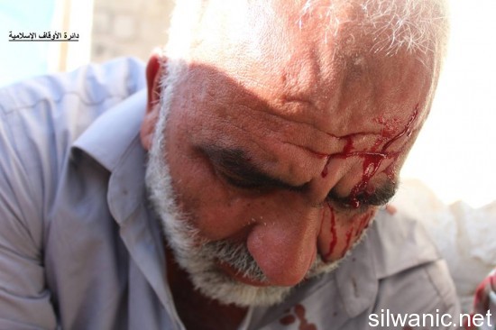 11781762_810780815702685_8940108375775060547_n