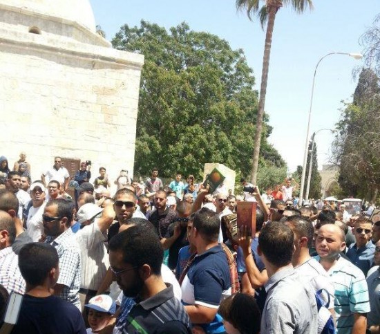 11787261_10152922892017466_479919358_n