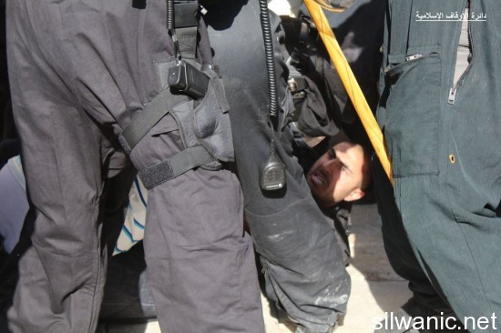 11796394_810780872369346_7440907418924542103_n