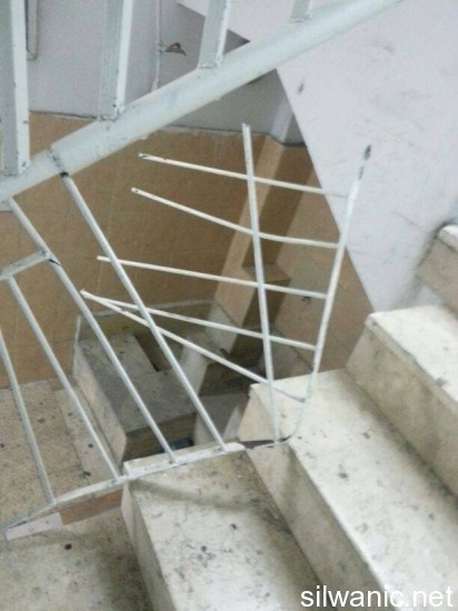 11798162_10152922891722466_1391058336_n