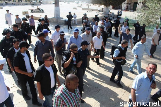 11800452_810781922369241_3734202313796269485_n