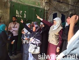 11801966_10152925238912466_755421711_n