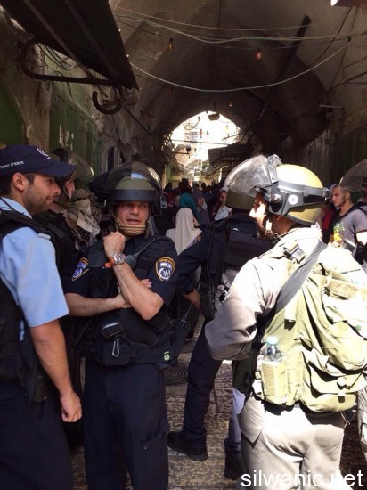 11805765_10152925238857466_1988741520_n