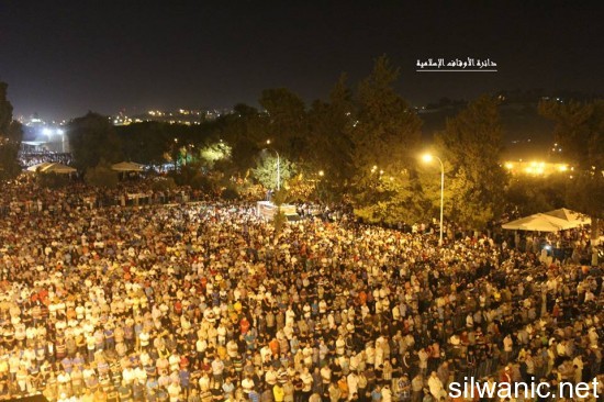 1513208_804722246308542_8023199781886696298_n