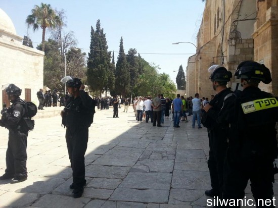 قوات احتلال داخل الاقصى