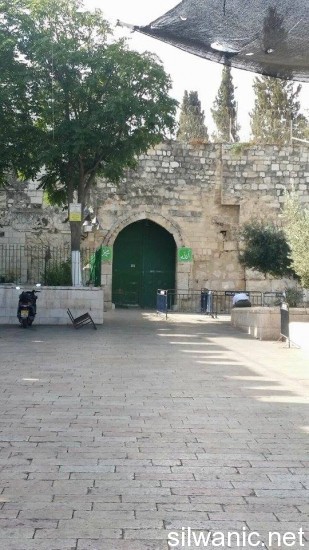 باب الاسباط