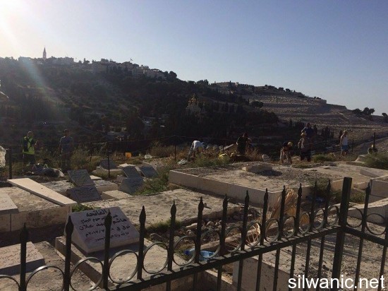 11666942_10152967404422466_990910359_n