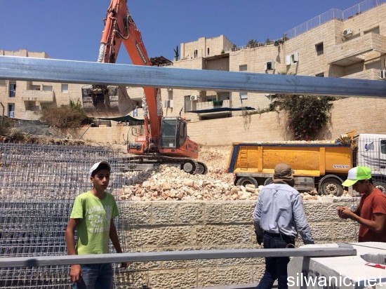 11749618_10152929315862466_1889624806_n