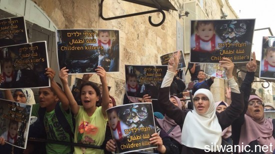 11831336_10152938294962466_429680472_o