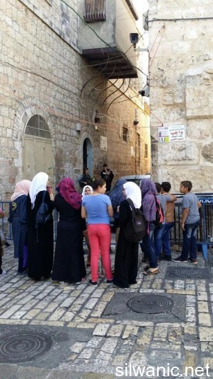 11845890_10152957204742466_350008832_n