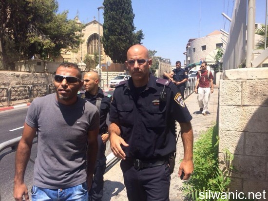 11846458_10152945397527466_305903106_n