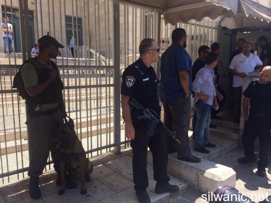 11850933_10152945389447466_612142177_n