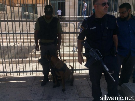 11855540_10152945394752466_330267270_n