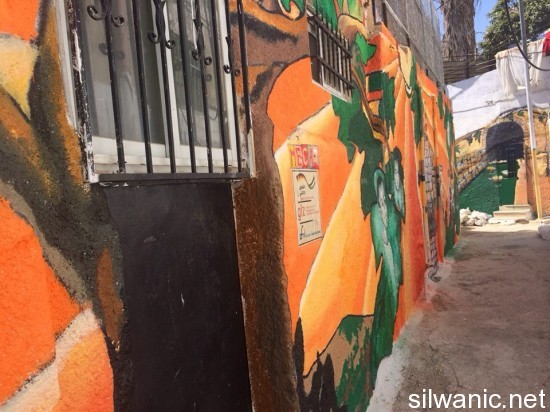 11857516_10152954895857466_723732759_n