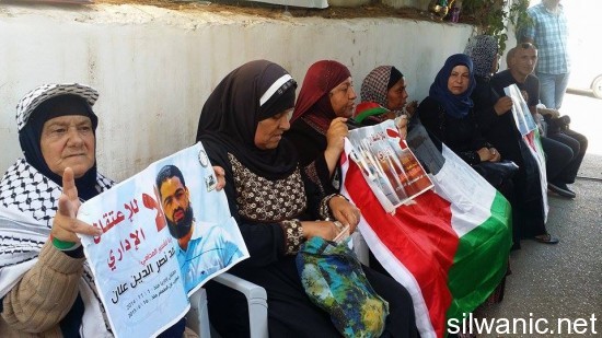 11868662_10152964273777466_415101769_n