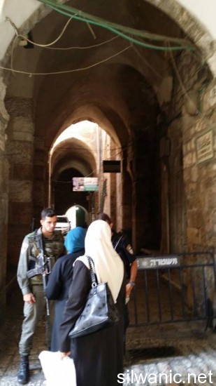 11868702_10152957204712466_161698625_n