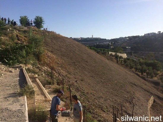 11868751_10152967405202466_1015256050_n