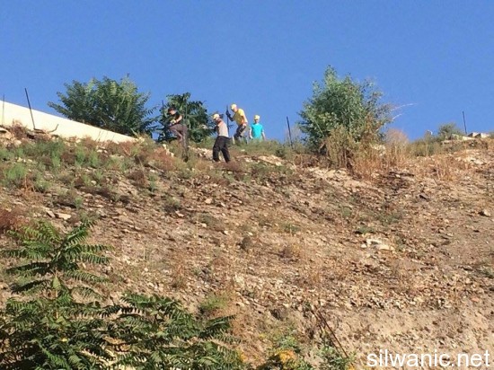 11868790_10152967405247466_544980259_n