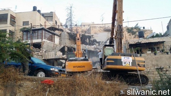 11874091_10152973305877466_1174150606_n