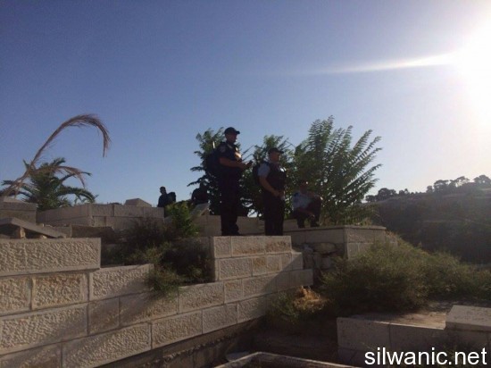 11880200_10152967404447466_1254342948_n