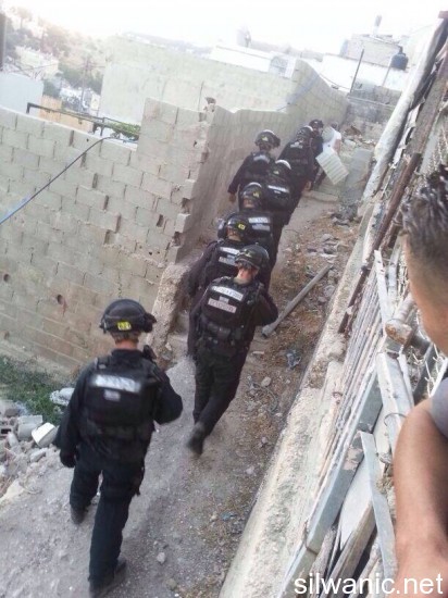 11880266_10152964541757466_1531310689_n