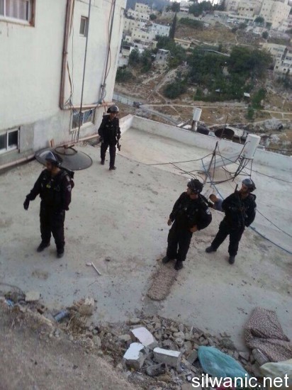 11880282_10152964541332466_1779384954_n