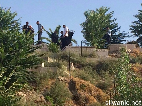 11896906_10152967405152466_1337225867_n