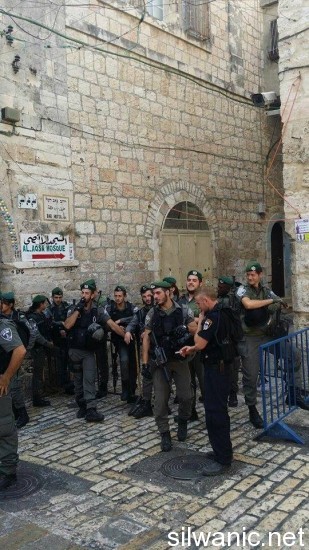 11896954_10152982415947466_52540953_n