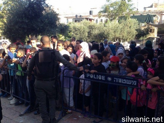 11896978_10152975227052466_167514550_n