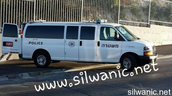 11897070_10152966130047466_1958958693_n