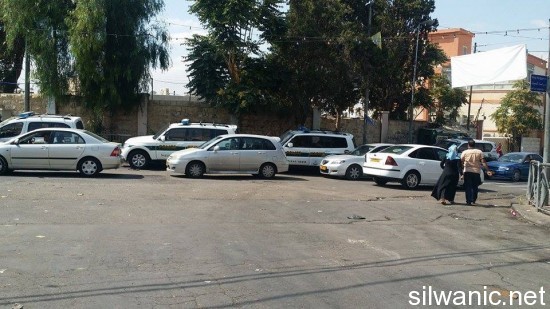 11903275_10152989546197466_789841814_n