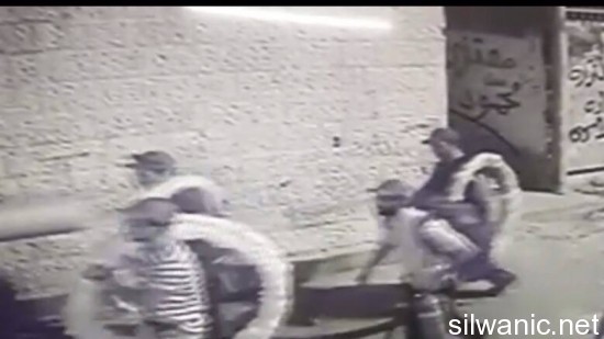 11903404_10152988391927466_236386312_n